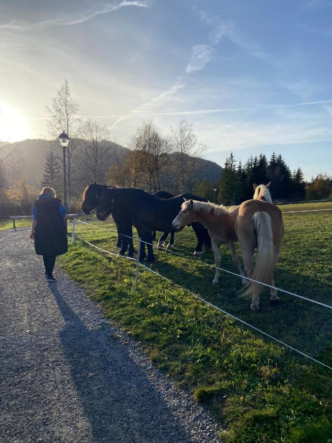 Fewo Sonnenschein Weissbriach Eksteriør billede
